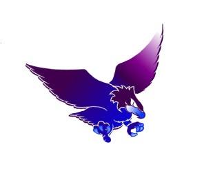 South Burnie Hockey Club