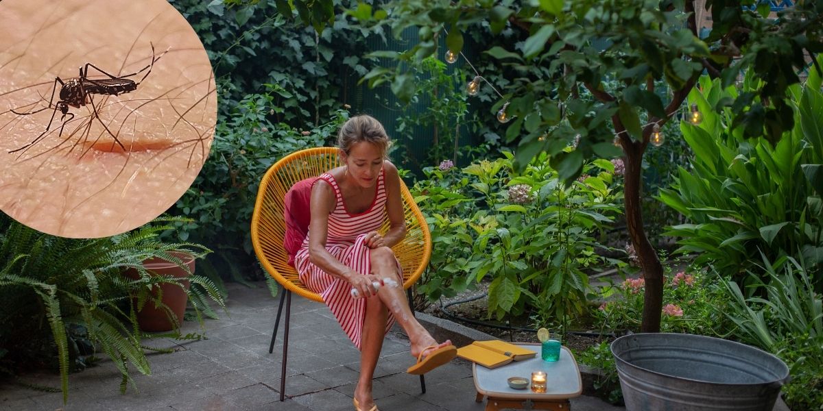 Surprising Things That Attract More Mosquitos